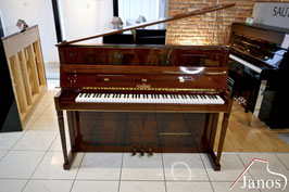 Schimmel