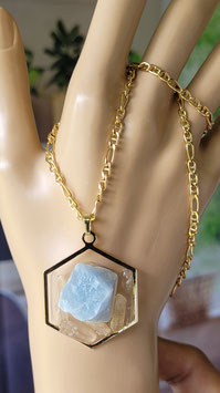 COLLAR METATRON LIMPIEZA AURICA
