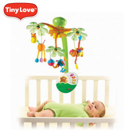 Musical "Zoo" Tiny Love