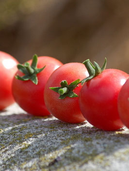 'Brandywine Sherry' Kirschtomate *NEU*