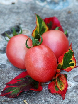 'Thai Pink Egg' Eiertomate