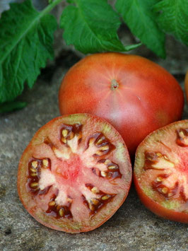 'Pol Robson' Fleischtomate