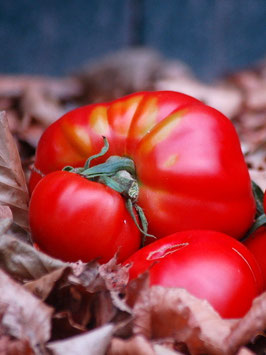 'Queen Of Hearts' Fleischtomate
