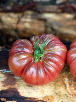'Purple Calabash' Fleischtomate