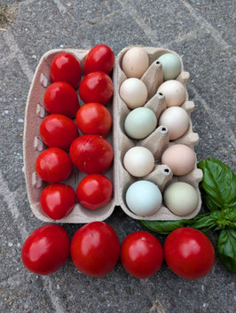 'Yaytse' Eiertomate *NEU*
