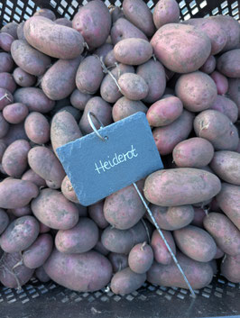 'Heiderot' Kartoffel