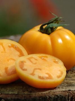 'Russian Persimon' Fleischtomate