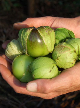 Tomatillo-Mischung