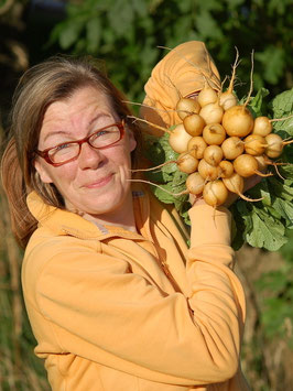 'Zlata' Radieschen