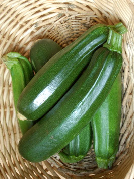 'Nero Di Milano' Zucchini