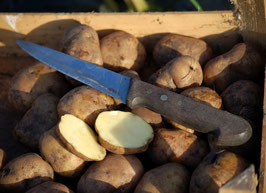 'La Bonnotte' Kartoffel