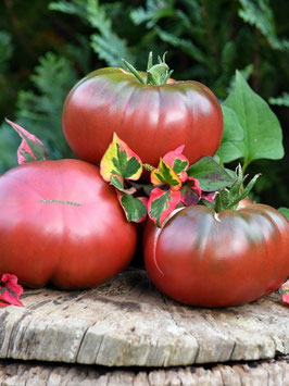 'Market Jim US' Fleischtomate *NEU*