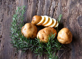 'Augsburger Gold' Kartoffel *NEU*