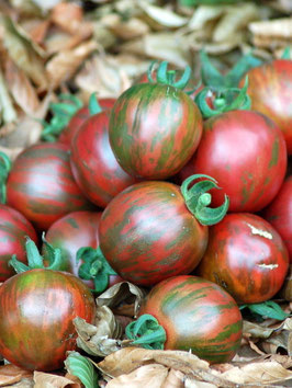 'Violet Jasper' Stabtomate