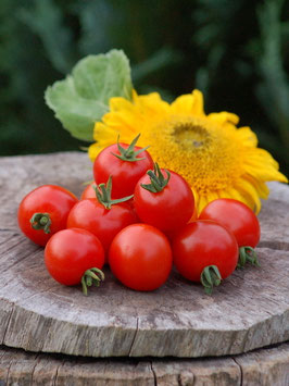 'Sheng Huang Cherry' Kirschtomate