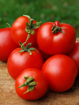 'Bogus Fruchta' Zwergtomate *NEU*