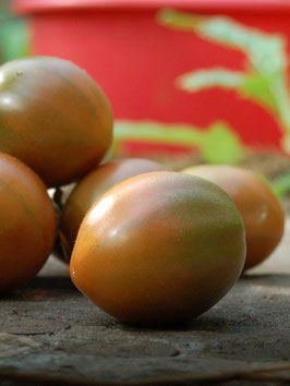 'Evil Olive' Kirschtomate *NEU*