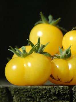 'Fablonelystyni' Kirschtomate