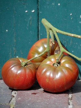 'Sputnik' Fleischtomate