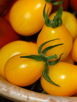 'Gelbe Birne' Stabtomate