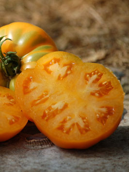 'Brandywine Apricot' Fleischtomate *NEU*