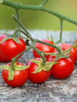 'Resi' Kirschtomate