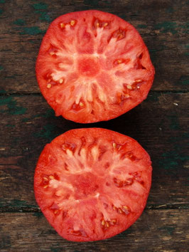 'Feuerwerk' Fleischtomate