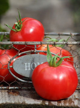 'Berner Rose' Fleischtomate