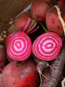 'Chioggia' Bete