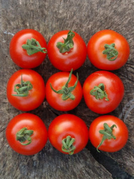 'Ernteglück' Kirschtomate