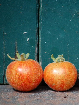 'Fuzzy Wuzzy' Buschtomate