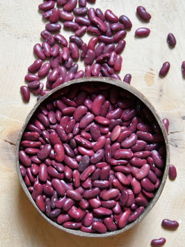 'Red Kidney' Buschbohne *NEU*