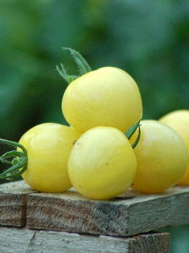 'Snowberry' Kirschtomate