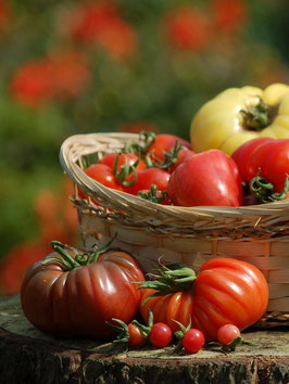 Tomaten-Mischung