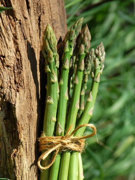 'Mary Washington' Grünspargel