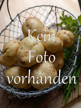 'king Edward' Kartoffel *NEU*