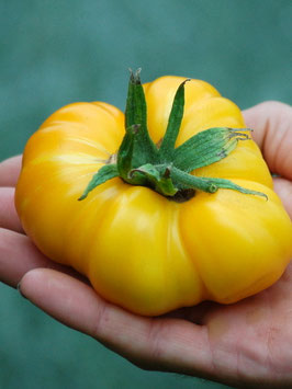 'Yellow Ruffled' Fleischtomate