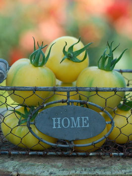 'Wapsipinicon Peach' Stabtomate