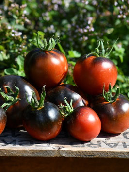 'Chestnut Chocolate' Stabtomate *NEU*