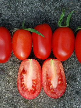 'Moskauer Delikatess' Flaschentomate