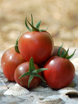 'Christmas Purple Grape' Kirschtomate *NEU*
