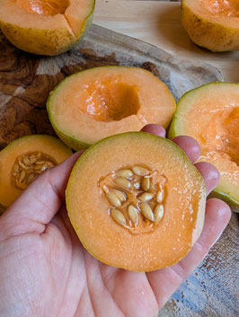'Minnesota Midget' Zuckermelone *NEU*