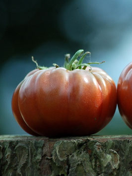 'Black From Tula' Fleischtomate