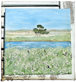 Am Darßer Ort 20 x 20 x 1,5