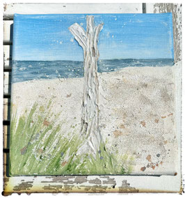 Darßer Weststrand 20 x 20 x 1,5