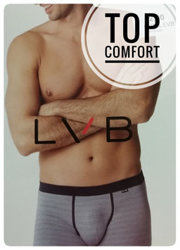 LVB 2 BOXER