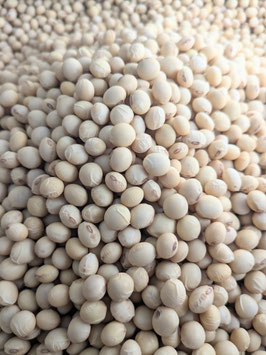 廣田農園の大豆1.75Kg 宅急便発送（送料込み）