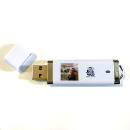ERICK SERMON - VERNIA (USB STICK)