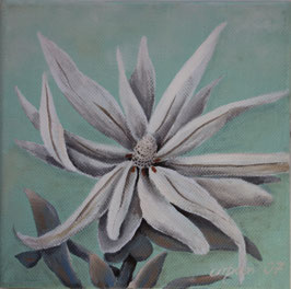 Blüte