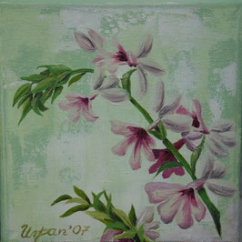 Blüten